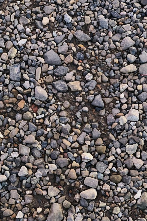 pexels-didsss-3734859